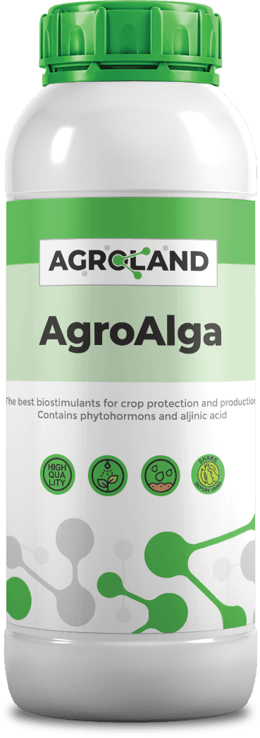 agroalga@0.5x-1738141795834-995453670