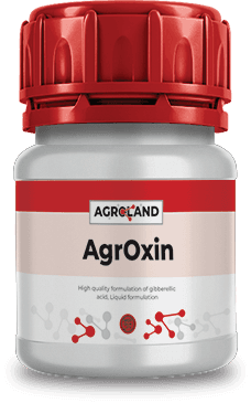 agroxin@0.5x-1738145363943-205972930