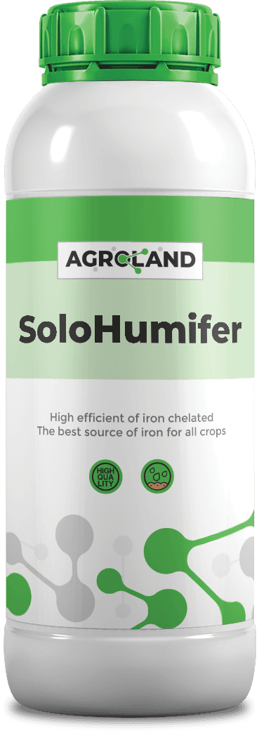solohumifer@0.5x-1738390421854-572285788