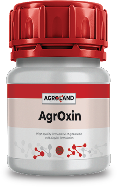 agroxin@0.5x-1738145363943-205972930