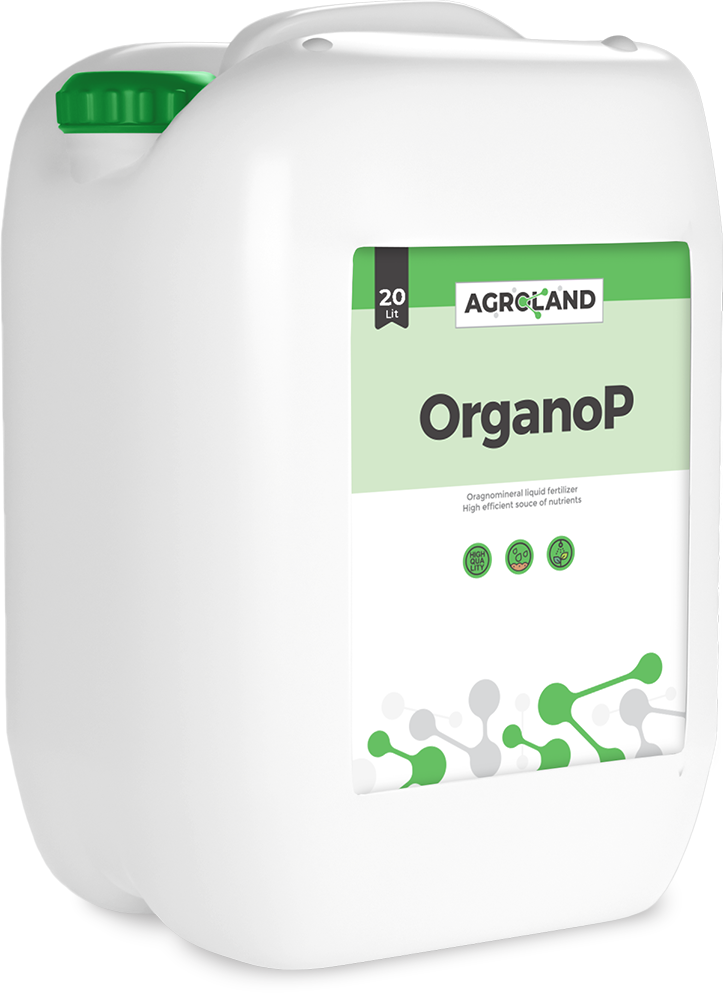 organop-1738145153002-337598964