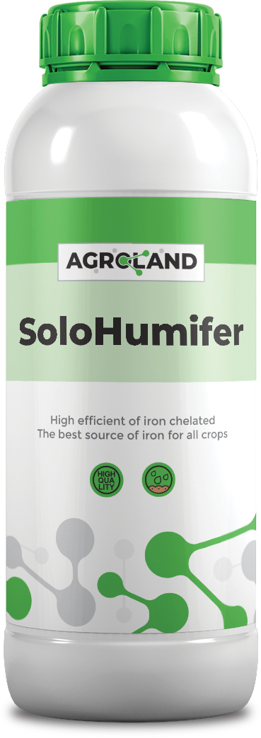 solohumifer@0.5x-1738390421854-572285788