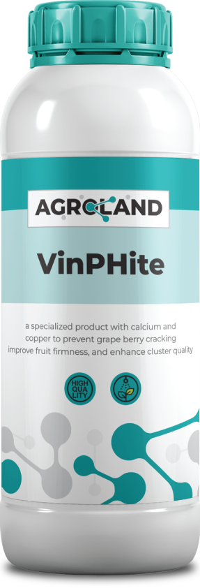 vinphite